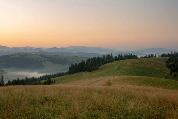 istock Beautiful early morning with fog between mountains 980833524