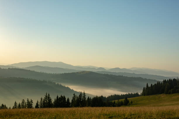 istock Beautiful early morning with fog between mountains 980833602