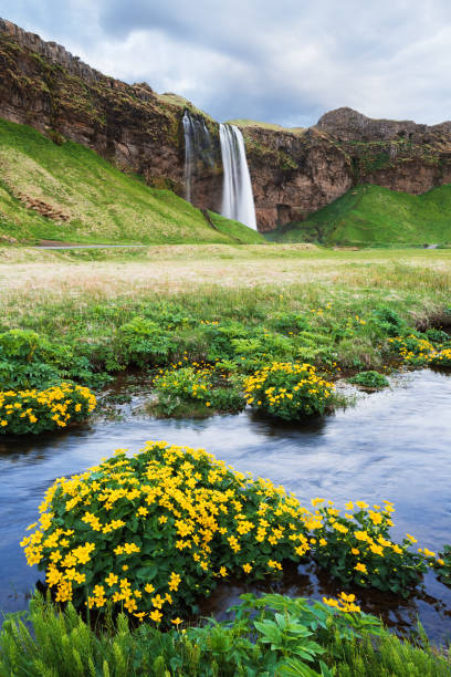 istock Amazing landscape with waterfall in Iceland 980839140