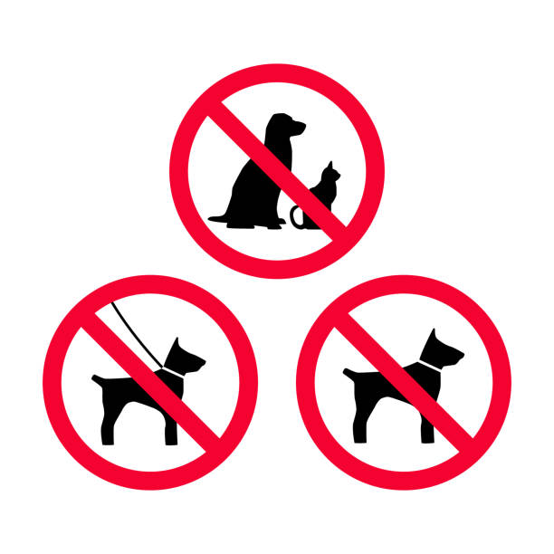 No dogs, no pets, no leash dogs, no free dogs red prohibition sign. Pets not allowed. No dogs, no pets, no leash dogs, no free dogs red prohibition sign. Pets not allowed. zoning out stock illustrations
