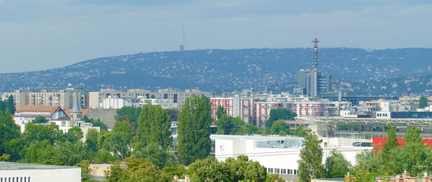 istock Panoramic view with suburb rooftops of Budapest 980870900