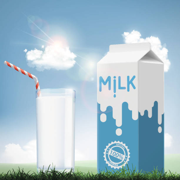 istock Glass of milk and cardboard packaging. Dairy product on the meadow. 980899280