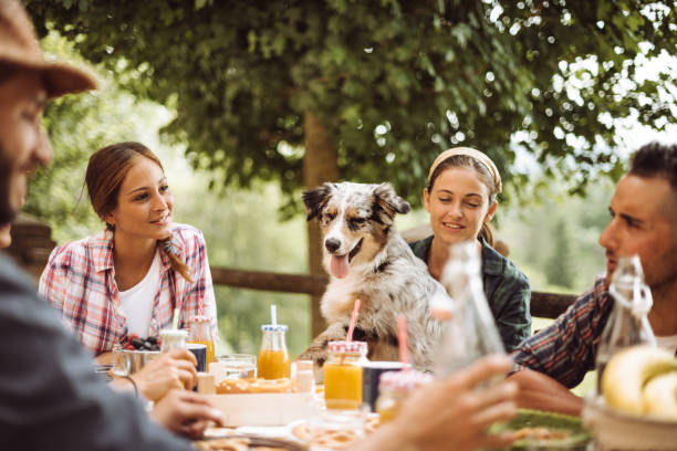istock friends doing a lunch in the farm villa 980927736