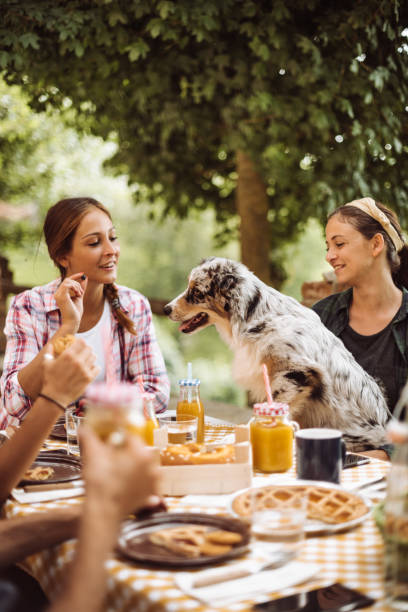 istock friends doing a lunch in the farm villa 980929922