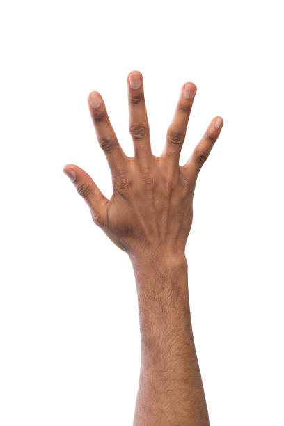 istock Black hand showing number five isolated 980931450