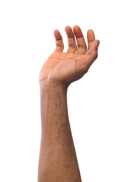 istock Black man holding palm open isolated on white 980931488
