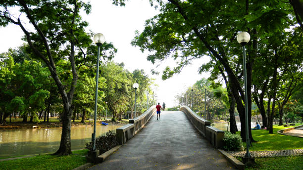 istock walkway in the park with trees 980932942