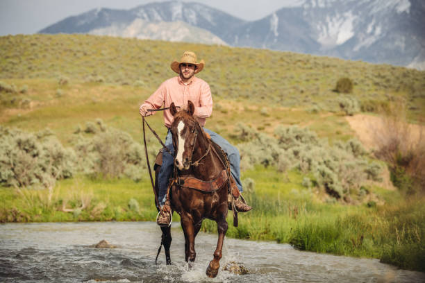 istock Utah Cowboy riding across the river 980935722