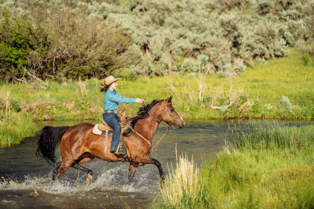 istock Utah Cowgirl riding across the river 980937202