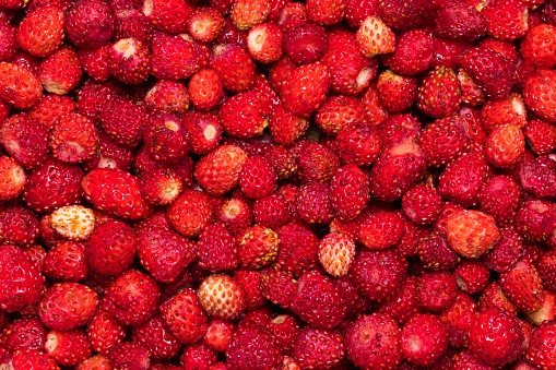 Background of wild strawberry berries with leaf close-up.