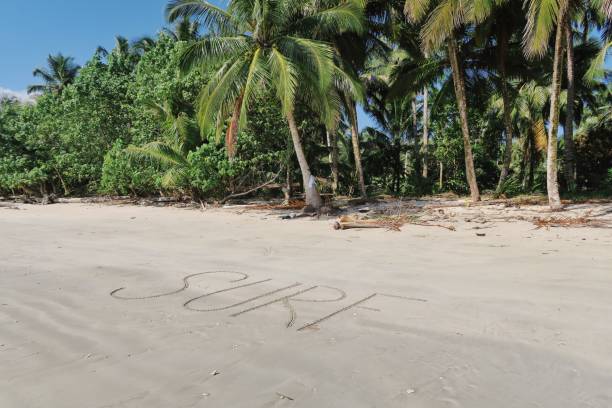 istock Word Surf written in the sand 980937828