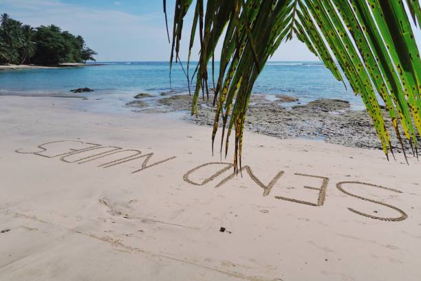 istock Send nudes written in the sand 980937940