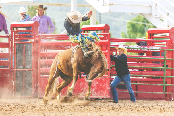 istock Utah Cowboy Saddle Bronc Bareback Riding Western Outdoors and Rodeo Stampede Roundup Riding Horses Herding Livestock 980937948