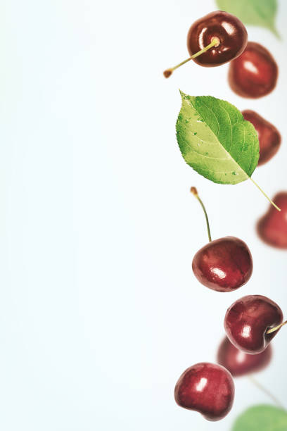 istock Summer vertical berry  background. Cherry flies  border 980941278