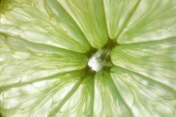 istock Lime wedge artistic ultra macro shot 980941804