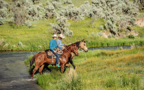 istock Utah ranchers riding across the river 980941864