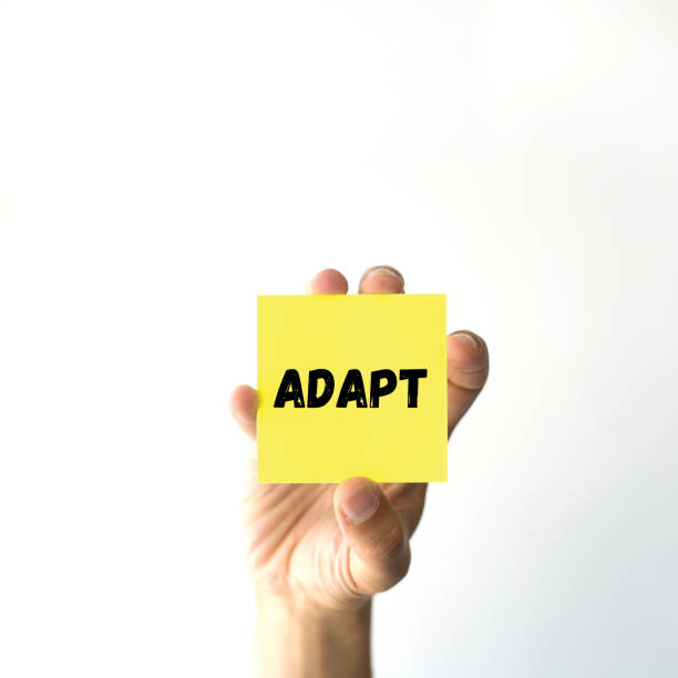 istock Hand holding yellow sticky note written ADAPT word 980953840