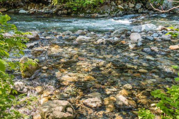 istock Denny Creek Rocky Shallows 2 980969140