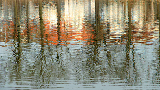 Trees and houses reflecting in rippling water surface.
