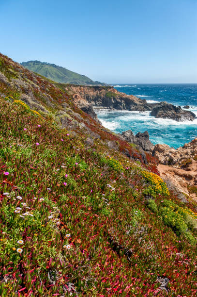 istock Beautiful coast line in California,USA 980972788