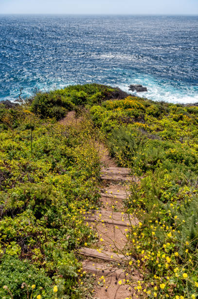 istock Beautiful coast line in California,USA 980972976