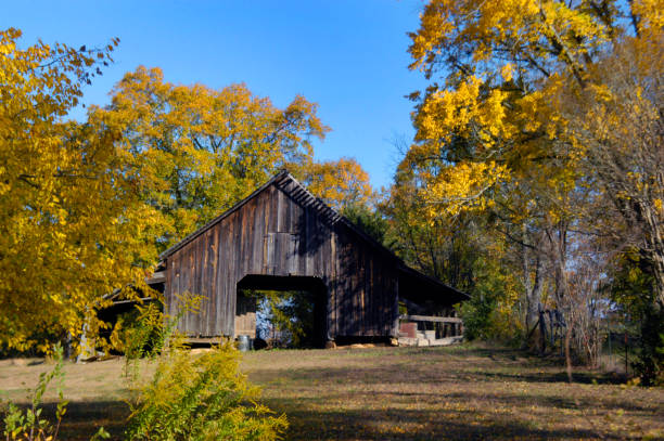 istock Barn in Golden North Arkansas 980979556