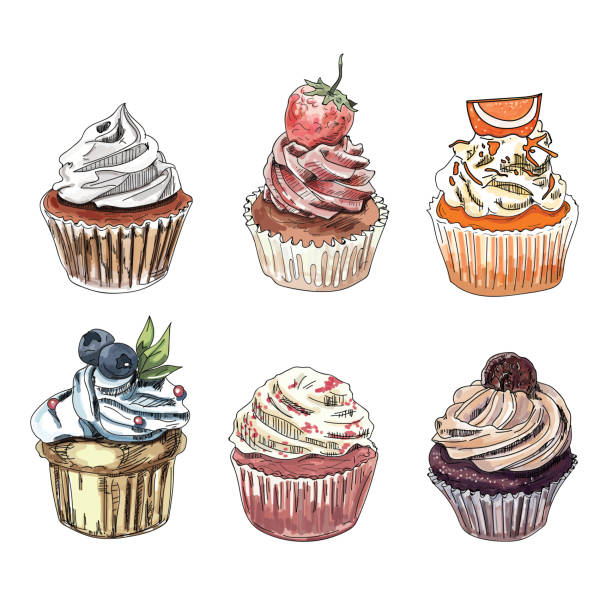 손으로 그린 컵 케이크의 집합입니다. - cupcake sugar isolated on white white background stock illustrations