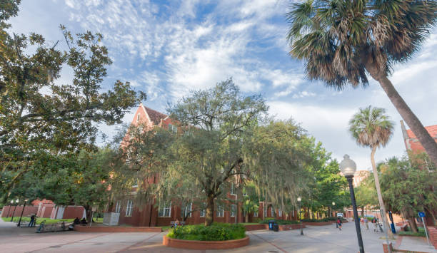 smathers library at the university of florida - university of florida imagens e fotografias de stock