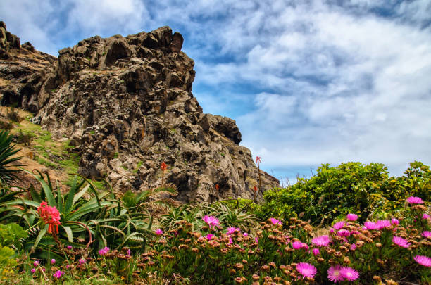 Steep slopes of Madeira island mountains covered by colorful blooming red and pink flowers and surrounded by clouds. Greeting card background with copy space.