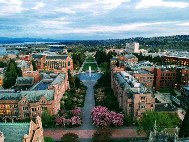 Aerial photo of the University of Washington Aerial photo of the University of Washington overlooking a fountain drumheller valley stock pictures, royalty-free photos & images