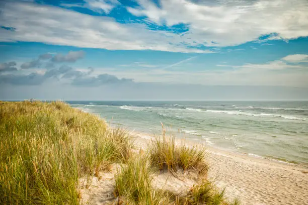 Photo of Sandhammaren beach in Skane Sweden