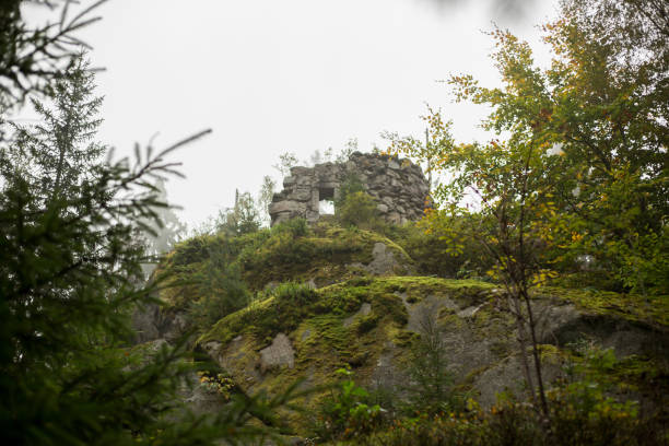 Huge rocks in the forest