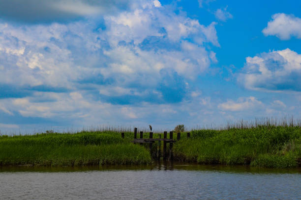 istock On the way to Cedar Island 981040722
