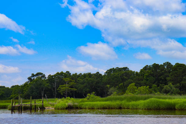 istock On the way to Cedar Island 981040748
