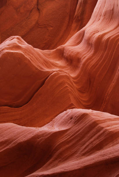 istock Textured sand stone wall background, Antelope Canyon 981043786