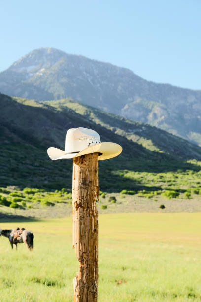 istock Cowboy Hat Sits On Top Of An Old Fence Post 981054536