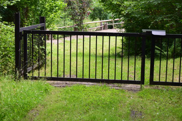 istock gate recreation area in the forest near river Elz 981061720