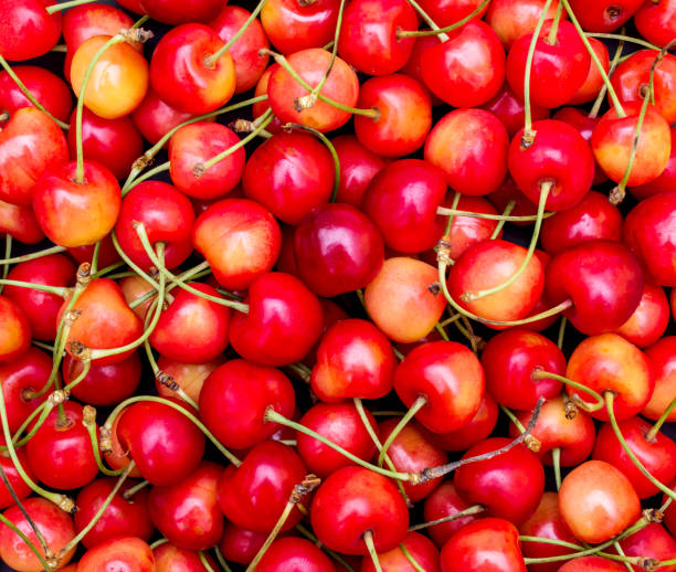 istock Cherries as food background. Top view. 981062068