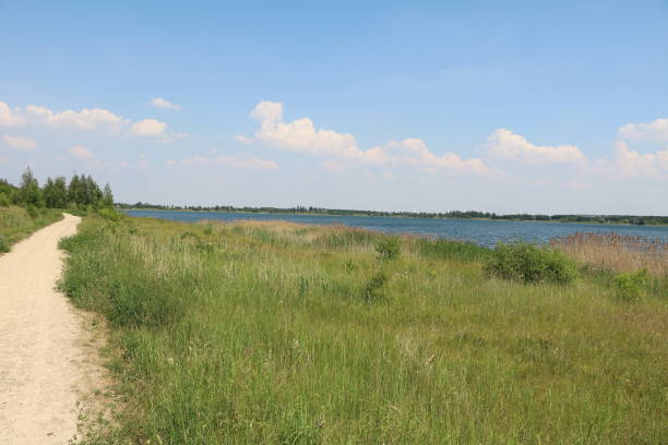 istock Path around the Schladitzer lake near Leipzig, Germany 981069448