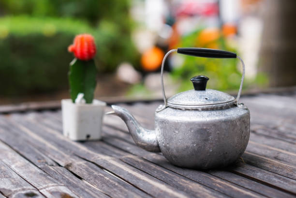 istock kettle stream and little cactus flower 981072422
