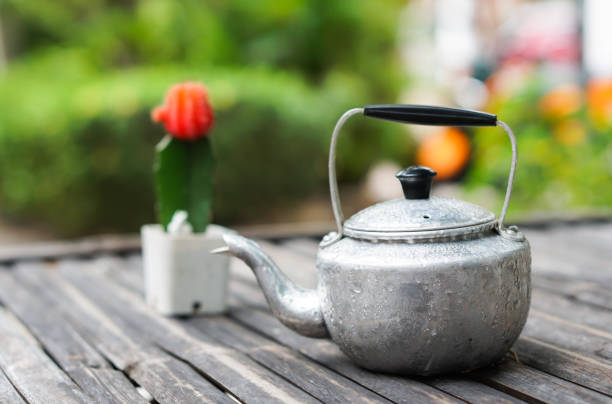 istock kettle stream and little cactus flower 981072458
