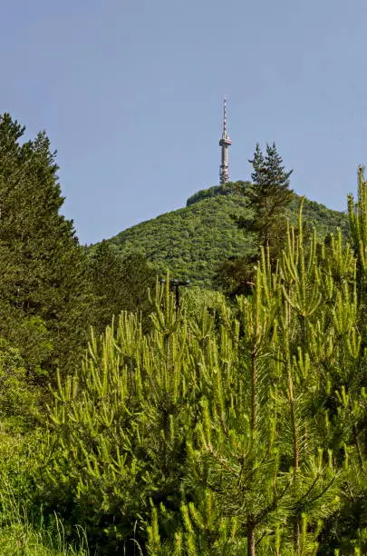 Photo of Landscape on the part of Vitosha mountain with television tower on a hill, close to Sofia