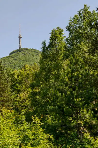 Photo of Landscape on the part of Vitosha mountain with television tower on a hill, close to Sofia