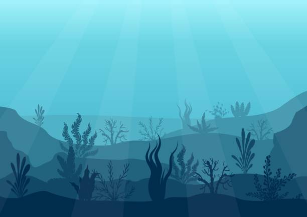 水中の海のシーン。深い青色の水、サンゴ礁や水中植物。海草、藻類、サンゴの海洋海底シルエット。図のベクトルの背景 - 海中点のイラスト素材／クリップアート素材／マンガ素材／アイコン素材