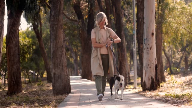 Mature woman with smartwatch walking dog and checking exercise progress