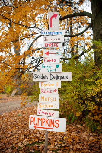 Farmers market sign with many varieties of apples and fall fruits.