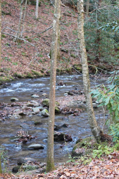 istock Western North Carolina 981079550