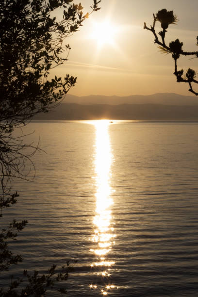 istock Dawn on the Adriatic Sea, Croatia 981083616