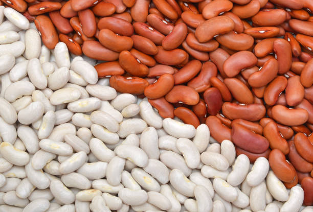 istock red beans and cannellini alubias on background 981088576