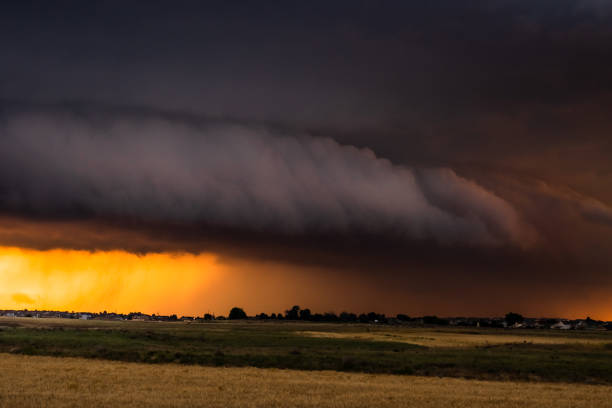 istock Extreme Weather Shelf Cloud at Dusk 981091368